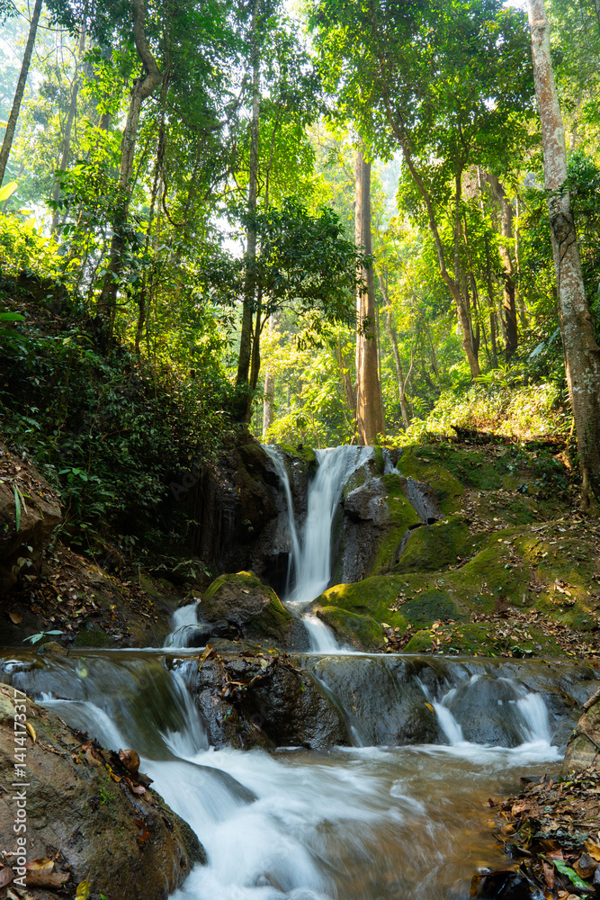 A small waterfall flowing through moss-covered rocks in a lush tropical forest, lit by soft morning sunlight. Ideal for nature and travel theme. A small waterfall flowing through moss-covered rocks in a lush tropical forest, lit by soft morning sunlight. Ideal for nature and travel theme.