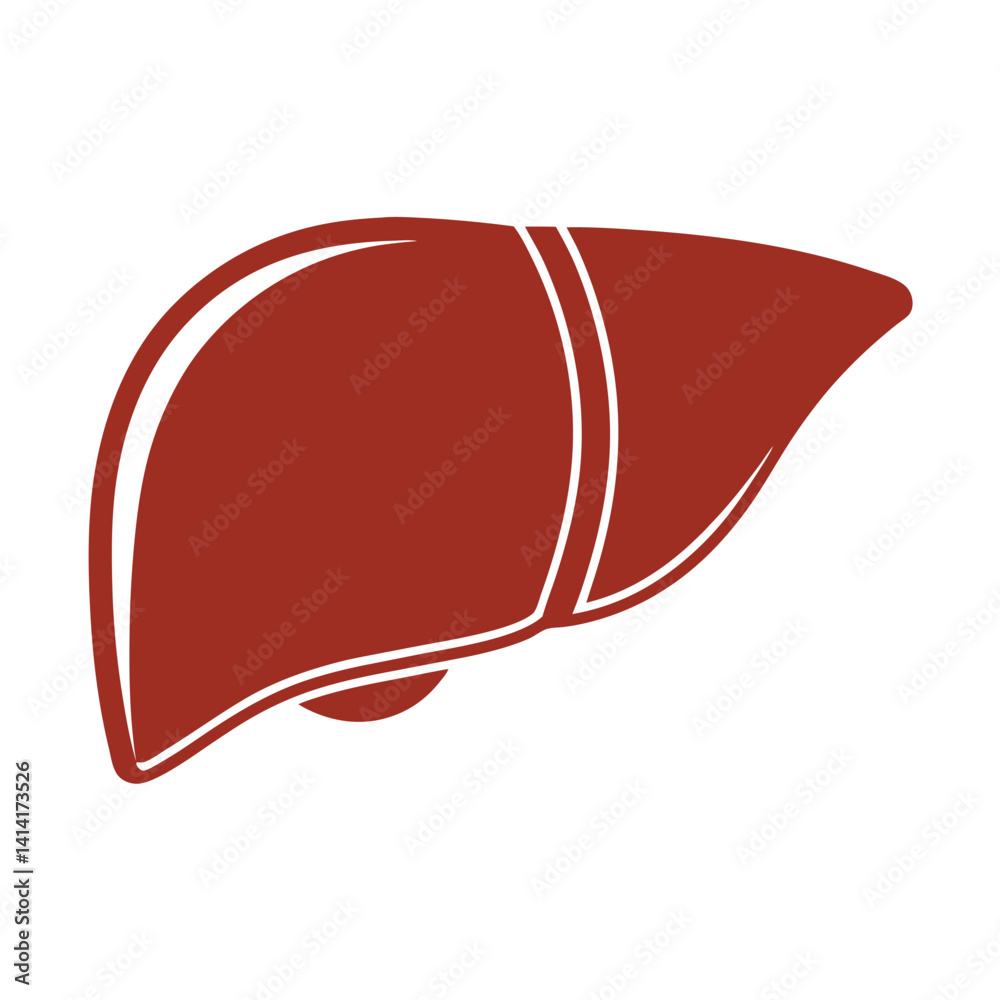 Human Liver vector icon, Human liver silhouette, Human organ on a white background Human Liver vector icon, Human liver silhouette, Human organ on a white background