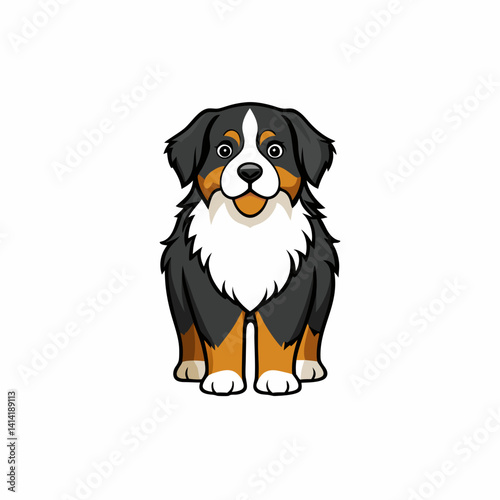 border collie dog