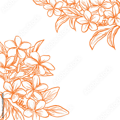frangipani flower border and frame