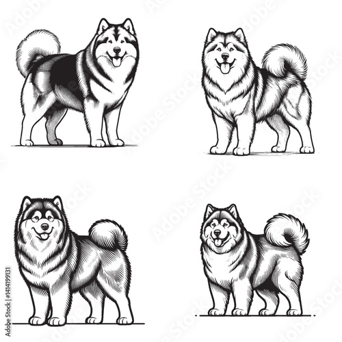 Alaskan Malamute Standing Dog Outline – Black and White Vector Illustration