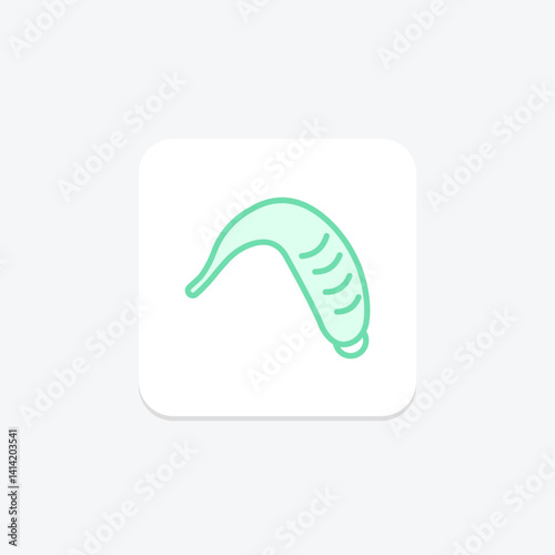 Leech, vector, pixel perfect, illustrator file