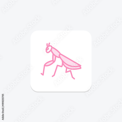 Praying Mantis, vector, pixel perfect, illustrator file