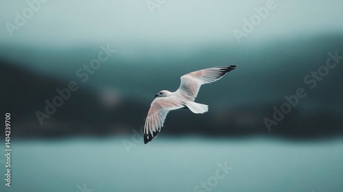 A bird in flight with outstretched wings against a soft focus backdrop of water and a distant shoreline. The bird exhibits shades of white and grey with black accents on its wingtips
