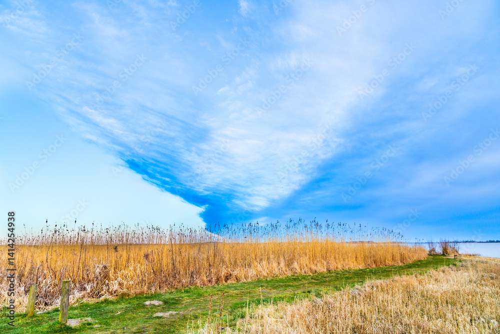 backwater landscape at the island of Usedom in morning light with spectacular sky