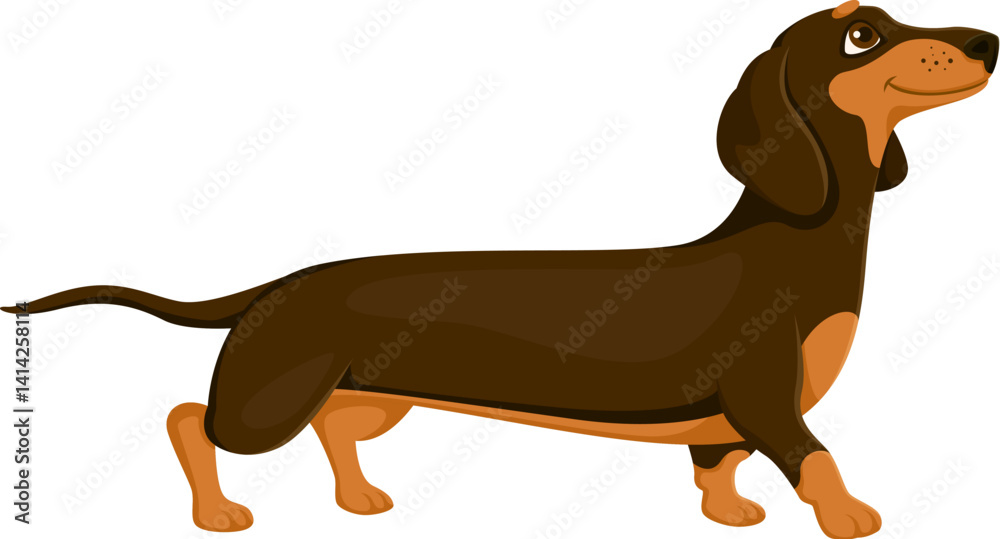 Cartoon dachshund dog or puppy with happy muzzle face vector pet animal character. Funny Dachshund or sausage dog puppy on walk for kids animal mascot or cute cheerful pet character