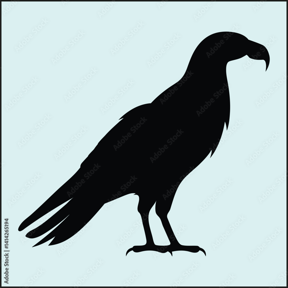 Fototapeta premium Condor Silhouette, Flight