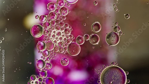 Colorful Oil Bubbles Moving on a Water Surface