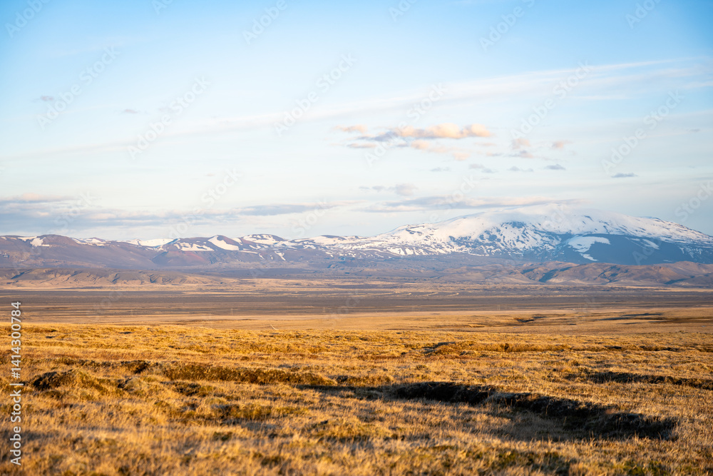 Snow-capped mountain range under a soft blue sky, with golden fields stretching across a vast Icelandic landscape at sunset.