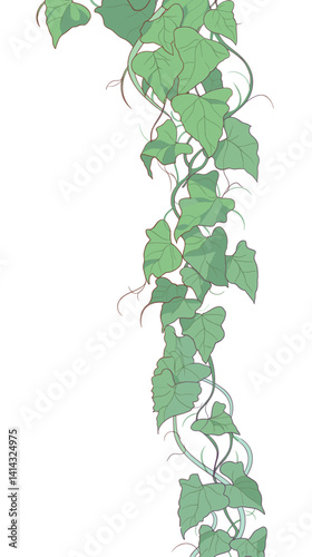 Vertical line of green ivy vines on white background flat vector illustration