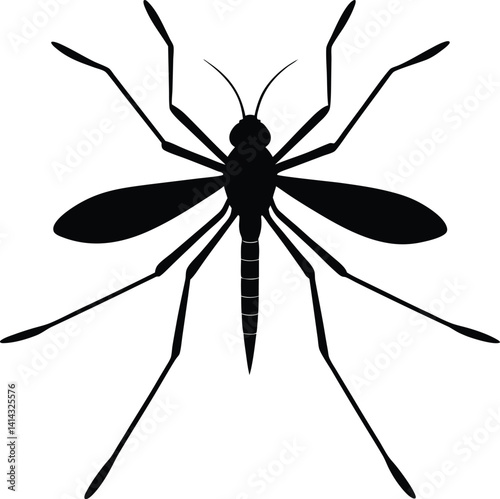 black spider on white background