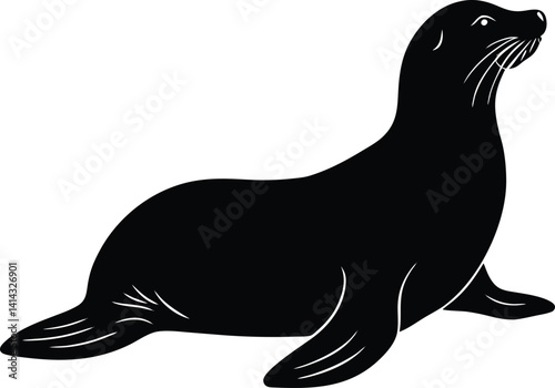 sea lion isolated on white