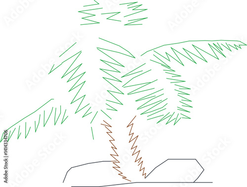 Palm trees Suitable for residential areas, hotels, resorts, and public areas