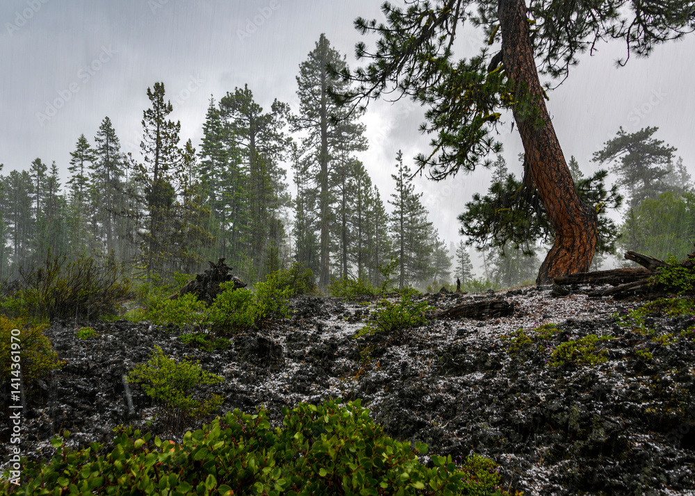 Φωτογραφία Stormy weather over a forest landscape with trees and rocky terrain during hale