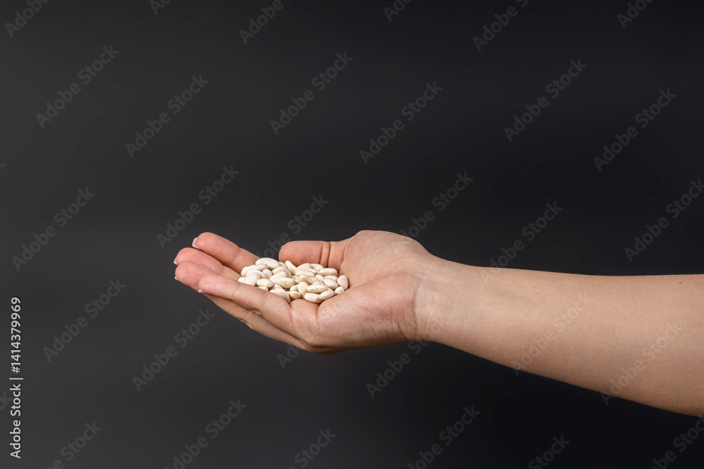 a handful of white beans in hand on a dark background a handful of white beans in hand on a dark background