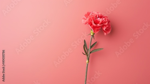 Mother's Day Carnation Background: Writing the Long Scroll of Mother's Gentle Care and Selfless Dedication with Carnations as the Medium