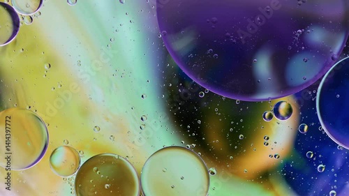 Colorful Oil Bubbles Moving on a Water Surface