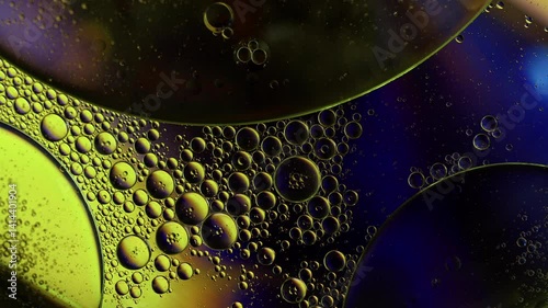 Colorful Oil Bubbles Moving on a Water Surface