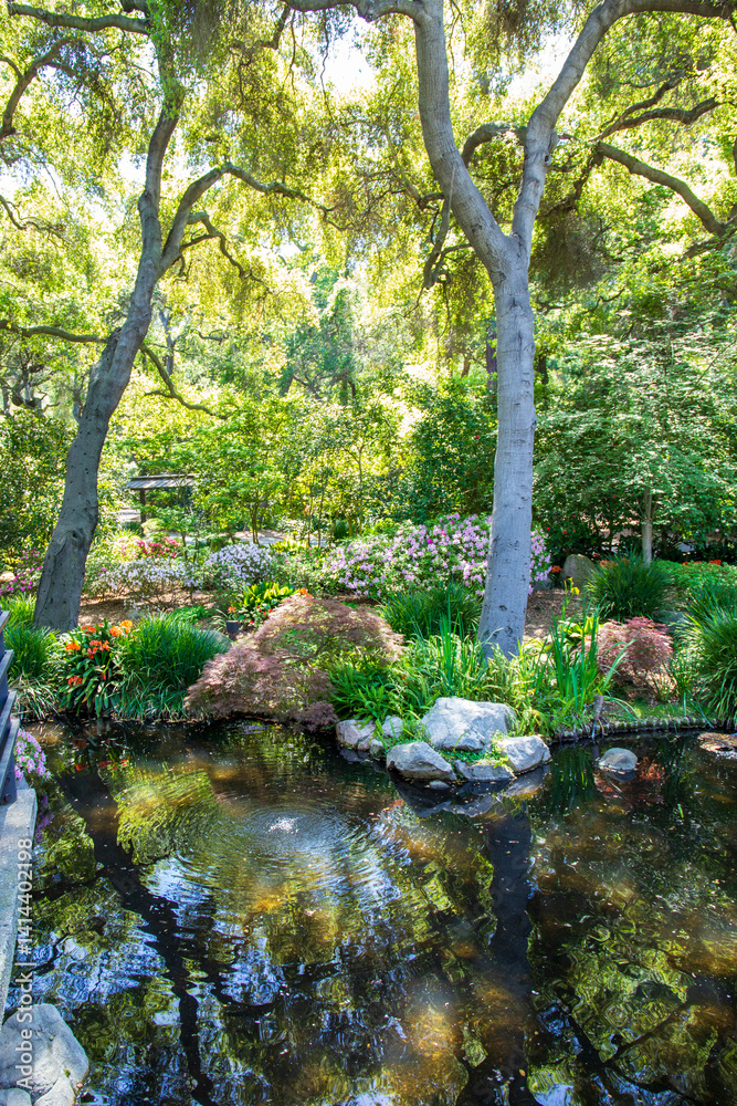 Obraz premium a gorgeous landscape with a pond, lush green trees and plants and colorful flowers at Descanso Gardens La Canada Flintridge California USA