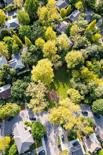 aerial view of a residential area with lush greenery and houses