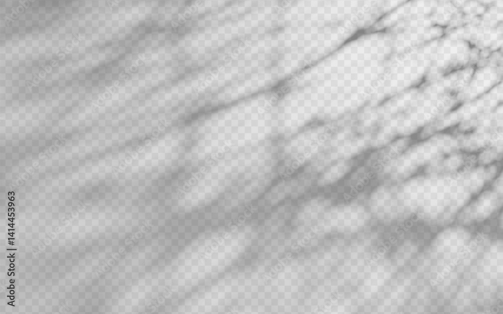 Obraz premium Abstract shadow overlay from foliage on a transparent background.