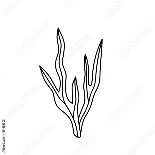 Seaweed Underwater Life Creatures Outline Coral Undersea