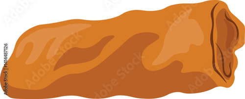 Illustration of a Spring Roll