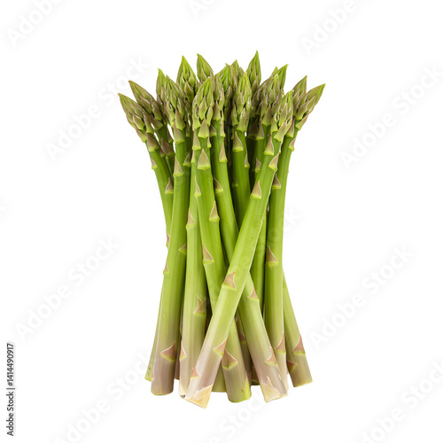 Fresh Asparagus Bunch Isolated on White Background for Healthy Eating