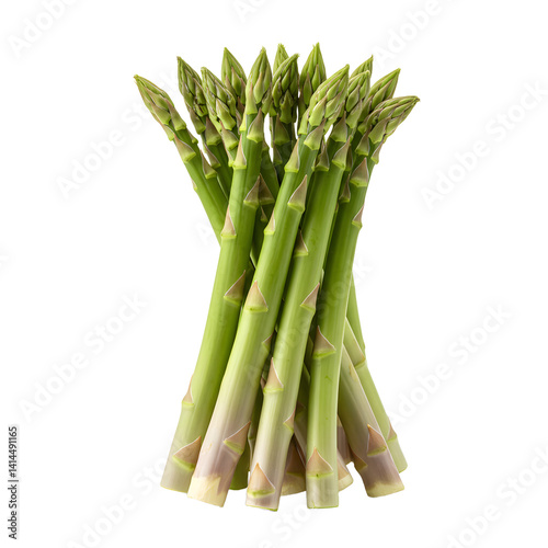 Asparagus Bunch on White Background Fresh Green Vegetables