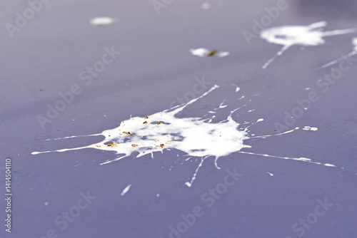 Bird droppings on car roof, selective focus. Macro view of bird poop on car paint, birds stains and cleaning. Dirty car surface with dry bird feces and acidic droppings