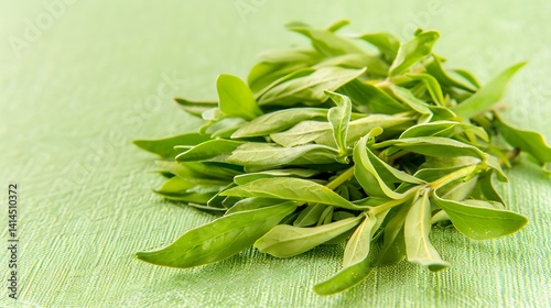 Fragrant bunch of fresh tarragon herb, culinary aromatic enhancer on green