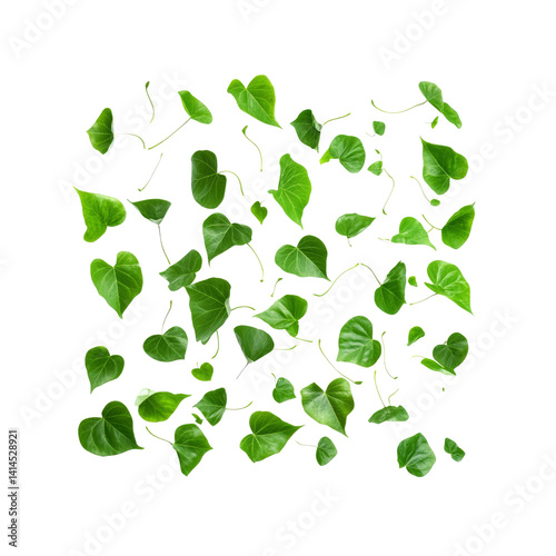 Lush Green Leaves Falling on Transparent Background - Nature Pattern