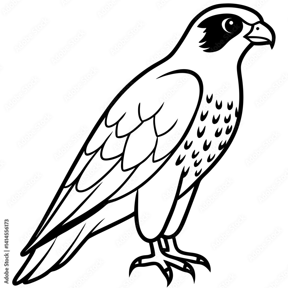 Obraz premium Elegant Falcon Line Drawing Design