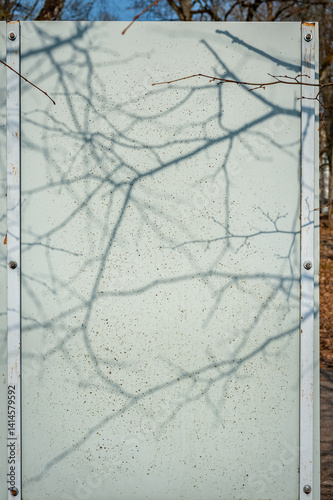 Organic drop shadow on the info booth, wall art. Empty information board in the park.  Sunny spring day.