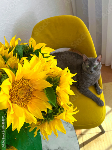 A grey cat is lying on a yellow armchair near a table with a bouquet of sunflowers