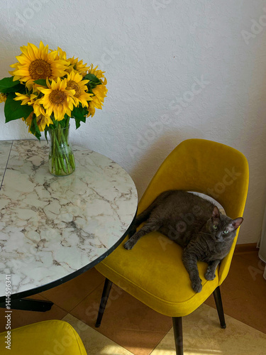 Obraz na płótnie A grey cat is lying on a yellow armchair near a table with a bouquet of sunflowers w salonie