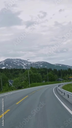 Vertical view of Norway road from car