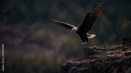 Majestic Bald Eagle Perched on Cliff Edge: Breathtaking Vista, Wild Bird Sanctuary, Scenic Wildlife Observation, Aerie Overlook, Freedom's Symbol, Nature's Majesty.
