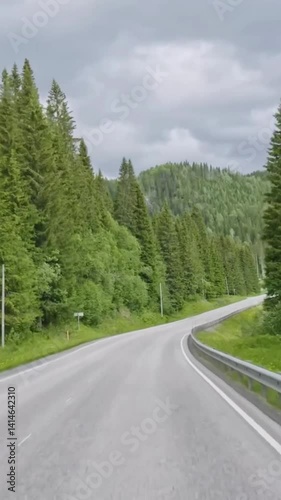 Vertical view of Norway road from car