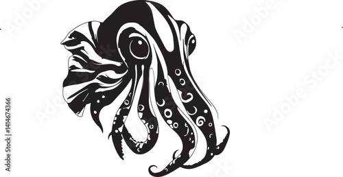 Foto cuttlefish