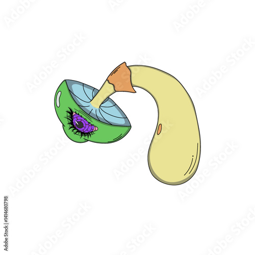 Psychedelic mushroom with a purple spiral eye, a surreal illustration in vivid neon colors with elements of dreamlike fantasy.