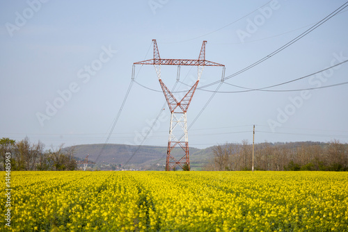 Obraz na płótnie a field of blooming rapeseed on a spring day w salonie