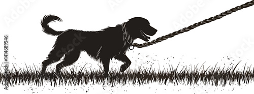 A silhouette of a dog on a leash walking happily in a grassy field.