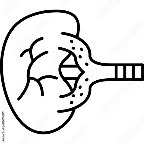 Kidney Icon
