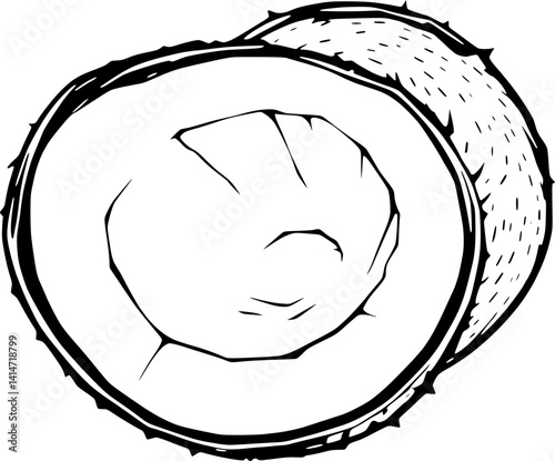Hand-Drawn Illustration Of A Sliced Coconut Showing Its Interior Texture And Shell