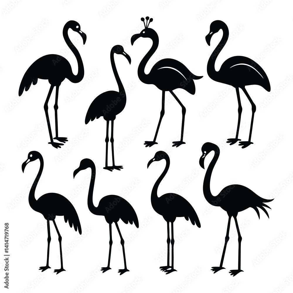 Fototapeta premium set of flamingos