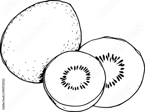 Hand-Drawn Illustration Of A Whole Kiwi And Two Slices