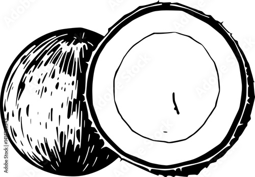 Hand-Drawn Illustration Of A Halved Ripe Coconut