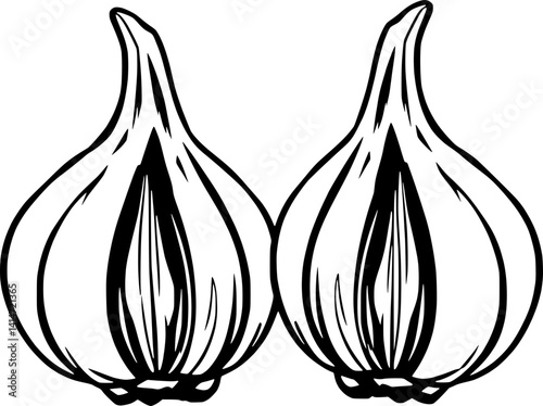 Two Whole Garlic Bulbs Line Art Illustration