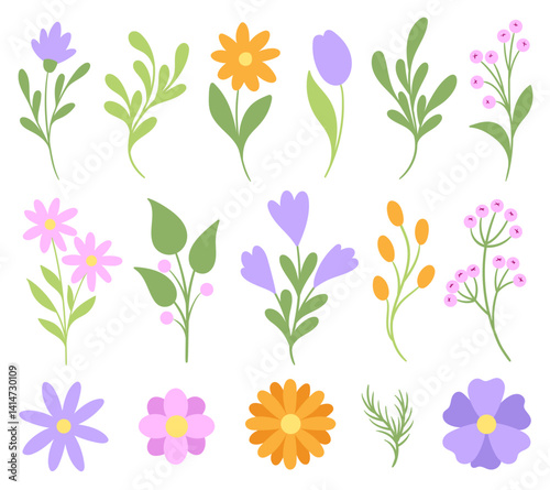 Flowers drawings, colorful simple flat design, vector cute floral doodles, botanical elements isolated clip art, botany illustration, set of floral design elements, hand-drawn flowers collection 